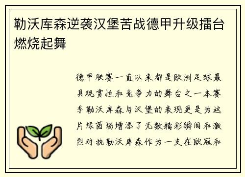 勒沃库森逆袭汉堡苦战德甲升级擂台燃烧起舞