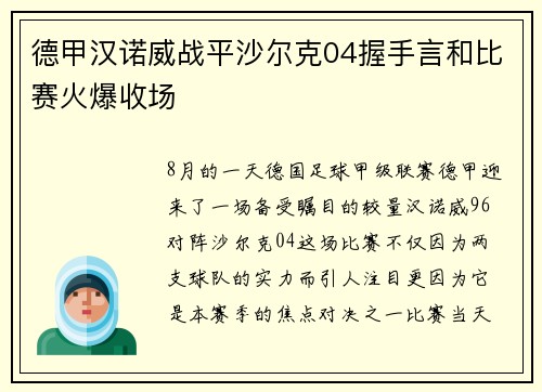 德甲汉诺威战平沙尔克04握手言和比赛火爆收场