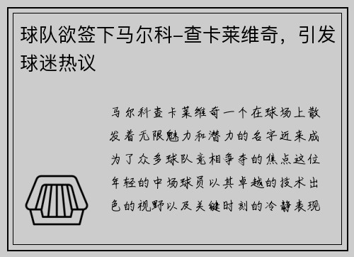 球队欲签下马尔科-查卡莱维奇，引发球迷热议
